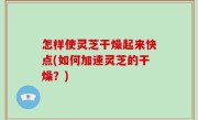 怎样使灵芝干燥起来快点(如何加速灵芝的干燥？)