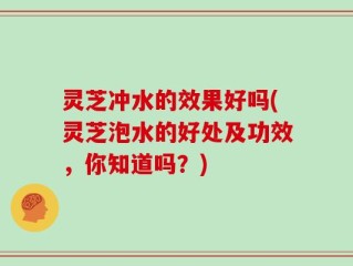 灵芝冲水的效果好吗(灵芝泡水的好处及功效，你知道吗？)
