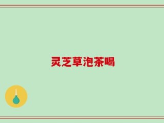灵芝草泡茶喝