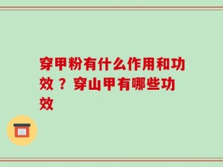 穿甲粉有什么作用和功效 ？穿山甲有哪些功效