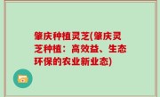 肇庆种植灵芝(肇庆灵芝种植：高效益、生态环保的农业新业态)