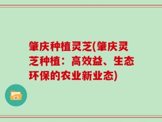 肇庆种植灵芝(肇庆灵芝种植：高效益、生态环保的农业新业态)