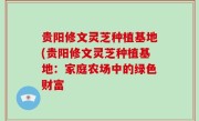 贵阳修文灵芝种植基地(贵阳修文灵芝种植基地：家庭农场中的绿色财富