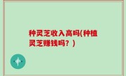 种灵芝收入高吗(种植灵芝赚钱吗？)