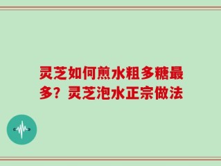 灵芝如何煎水粗多糖最多？灵芝泡水正宗做法