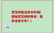 灵芝树能活多长时间(探秘灵芝树的寿命：能存活多少年？)