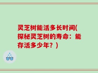 灵芝树能活多长时间(探秘灵芝树的寿命：能存活多少年？)