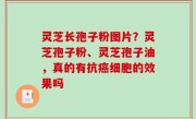 灵芝长孢子粉图片？灵芝孢子粉、灵芝孢子油，真的有抗癌细胞的效果吗