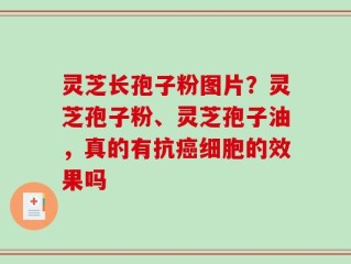 灵芝长孢子粉图片？灵芝孢子粉、灵芝孢子油，真的有抗癌细胞的效果吗