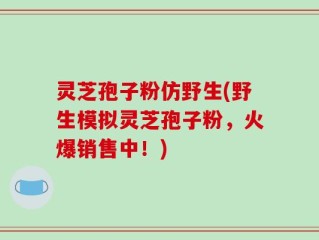灵芝孢子粉仿野生(野生模拟灵芝孢子粉，火爆销售中！)