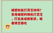 破壁机能打灵芝块吗？家用破壁料理机打灵芝，打出来成棉絮状，嚼着硬怎吞吃