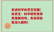 走进科学肉灵芝完整(肉灵芝：科学研究发现其保健功效，走进实验室深入解析)