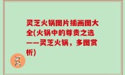 灵芝火锅图片插画图大全(火锅中的尊贵之选——灵芝火锅，多图赏析)