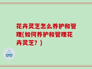 花卉灵芝怎么养护和管理(如何养护和管理花卉灵芝？)