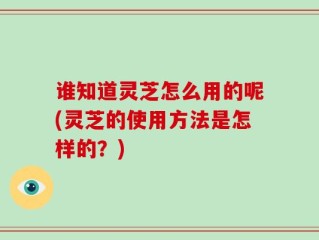 谁知道灵芝怎么用的呢(灵芝的使用方法是怎样的？)
