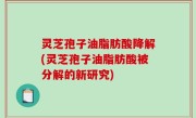 灵芝孢子油脂肪酸降解(灵芝孢子油脂肪酸被分解的新研究)