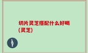 切片灵芝搭配什么好喝(灵芝)