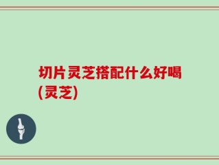 切片灵芝搭配什么好喝(灵芝)