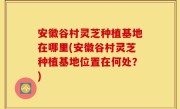安徽谷村灵芝种植基地在哪里(安徽谷村灵芝种植基地位置在何处？)