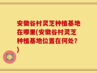 安徽谷村灵芝种植基地在哪里(安徽谷村灵芝种植基地位置在何处？)