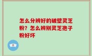 怎么分辨好的破壁灵芝粉？怎么辨别灵芝孢子粉好坏