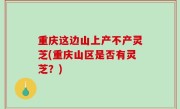 重庆这边山上产不产灵芝(重庆山区是否有灵芝？)