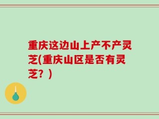 重庆这边山上产不产灵芝(重庆山区是否有灵芝？)