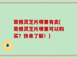 葛根灵芝片哪里有卖(葛根灵芝片哪里可以购买？快来了解！)