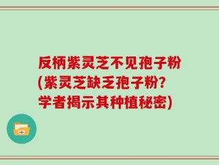 反柄紫灵芝不见孢子粉(紫灵芝缺乏孢子粉？学者揭示其种植秘密)