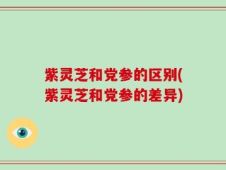 紫灵芝和党参的区别(紫灵芝和党参的差异)