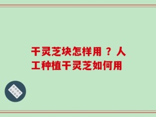 干灵芝块怎样用 ？人工种植干灵芝如何用