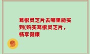 葛根灵芝片去哪里能买到(购买葛根灵芝片，畅享健康
