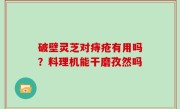 破壁灵芝对痔疮有用吗？料理机能干磨孜然吗