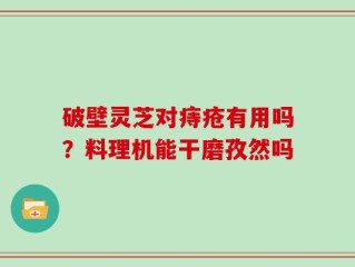 破壁灵芝对痔疮有用吗？料理机能干磨孜然吗