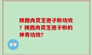 陕西肉灵芝孢子粉功效？陕西肉灵芝孢子粉的神奇功效？