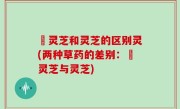 艼灵芝和灵芝的区别灵(两种草药的差别：艼灵芝与灵芝)