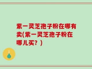 紫一灵芝孢子粉在哪有卖(紫一灵芝孢子粉在哪儿买？)