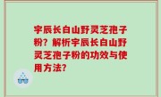 宇辰长白山野灵芝孢子粉？解析宇辰长白山野灵芝孢子粉的功效与使用方法？