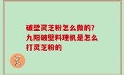 破壁灵芝粉怎么做的？九阳破壁料理机是怎么打灵芝粉的