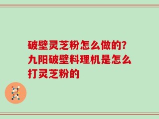 破壁灵芝粉怎么做的？九阳破壁料理机是怎么打灵芝粉的