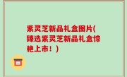 紫灵芝新品礼盒图片(臻选紫灵芝新品礼盒惊艳上市！)