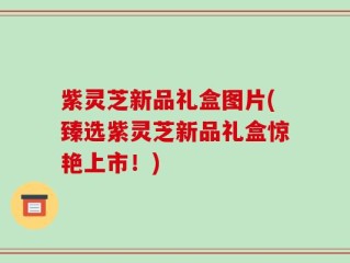紫灵芝新品礼盒图片(臻选紫灵芝新品礼盒惊艳上市！)