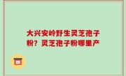 大兴安岭野生灵芝孢子粉？灵芝孢子粉哪里产