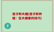 孢子粉大棚(孢子粉种植：在大棚里的技巧)