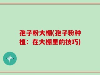 孢子粉大棚(孢子粉种植：在大棚里的技巧)