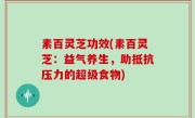 素百灵芝功效(素百灵芝：益气养生，助抵抗压力的超级食物)