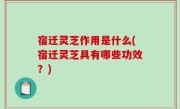 宿迁灵芝作用是什么(宿迁灵芝具有哪些功效？)