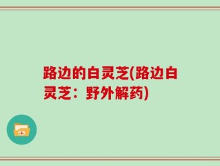路边的白灵芝(路边白灵芝：野外解药)