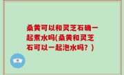 桑黄可以和灵芝石确一起煮水吗(桑黄和灵芝石可以一起泡水吗？)