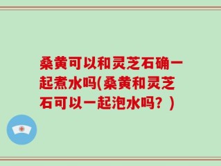桑黄可以和灵芝石确一起煮水吗(桑黄和灵芝石可以一起泡水吗？)